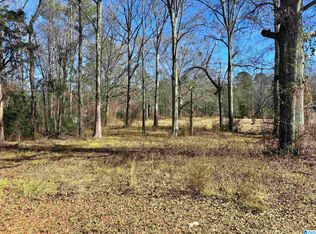 405 Cove Rd #14, Wilsonville, AL 35186