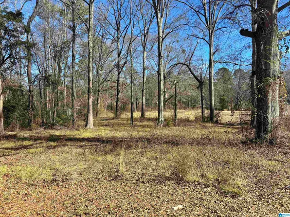 405 Cove Rd #14, Wilsonville, AL 35186