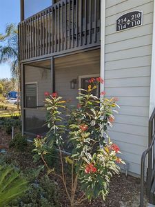 3756 Idlebrook Cir APT 114, Casselberry, FL, 32707