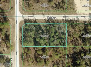 15302 SAWBILL AVENUE LOT 1, WEEKI WACHEE, FL 34614
