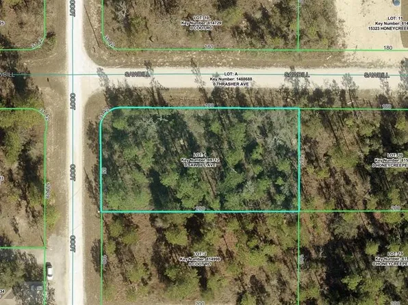 15302 SAWBILL AVENUE LOT 1, WEEKI WACHEE, FL 34614