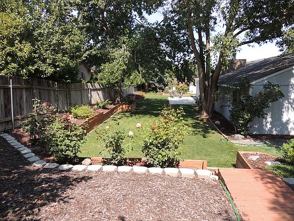 backyard view