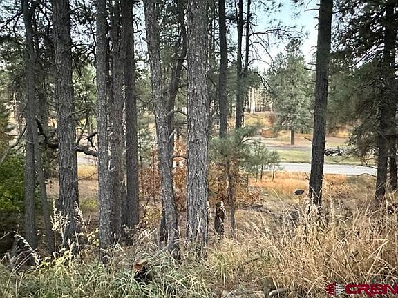4th image of 616 Forest Lakes Drive