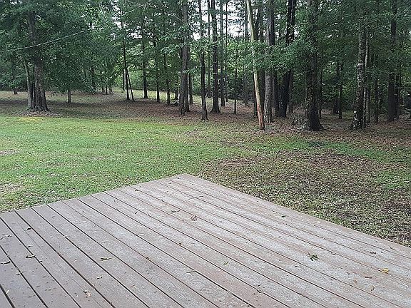 View from back deck