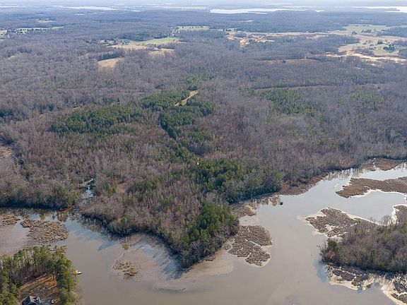 3rd image of Trigger Ln