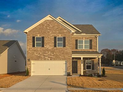 227 Roman Randall Rd, New Market, AL, 35761