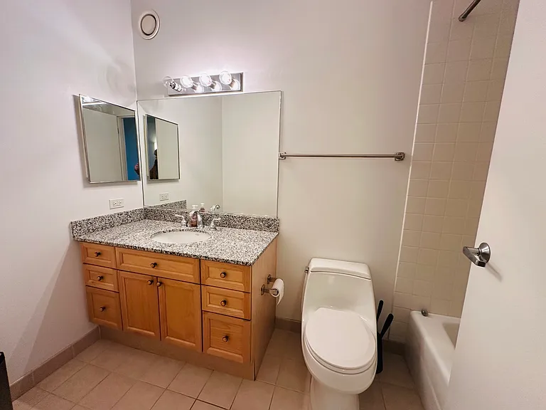 512 N McClurg Ct #3704 — Photo 18