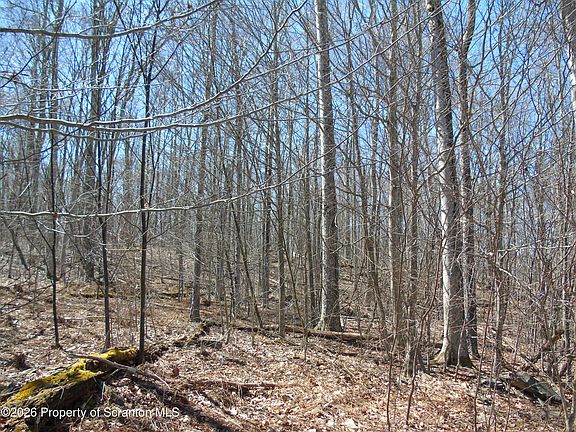3rd image of 145 Summit Woods Rd