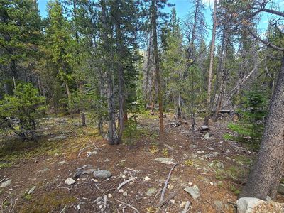 Alice Road LOT 235/U2, Georgetown, CO, 80444
