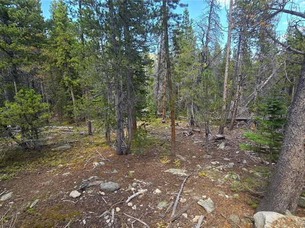 Alice Road LOT 235/U2, Idaho Springs, CO 80444