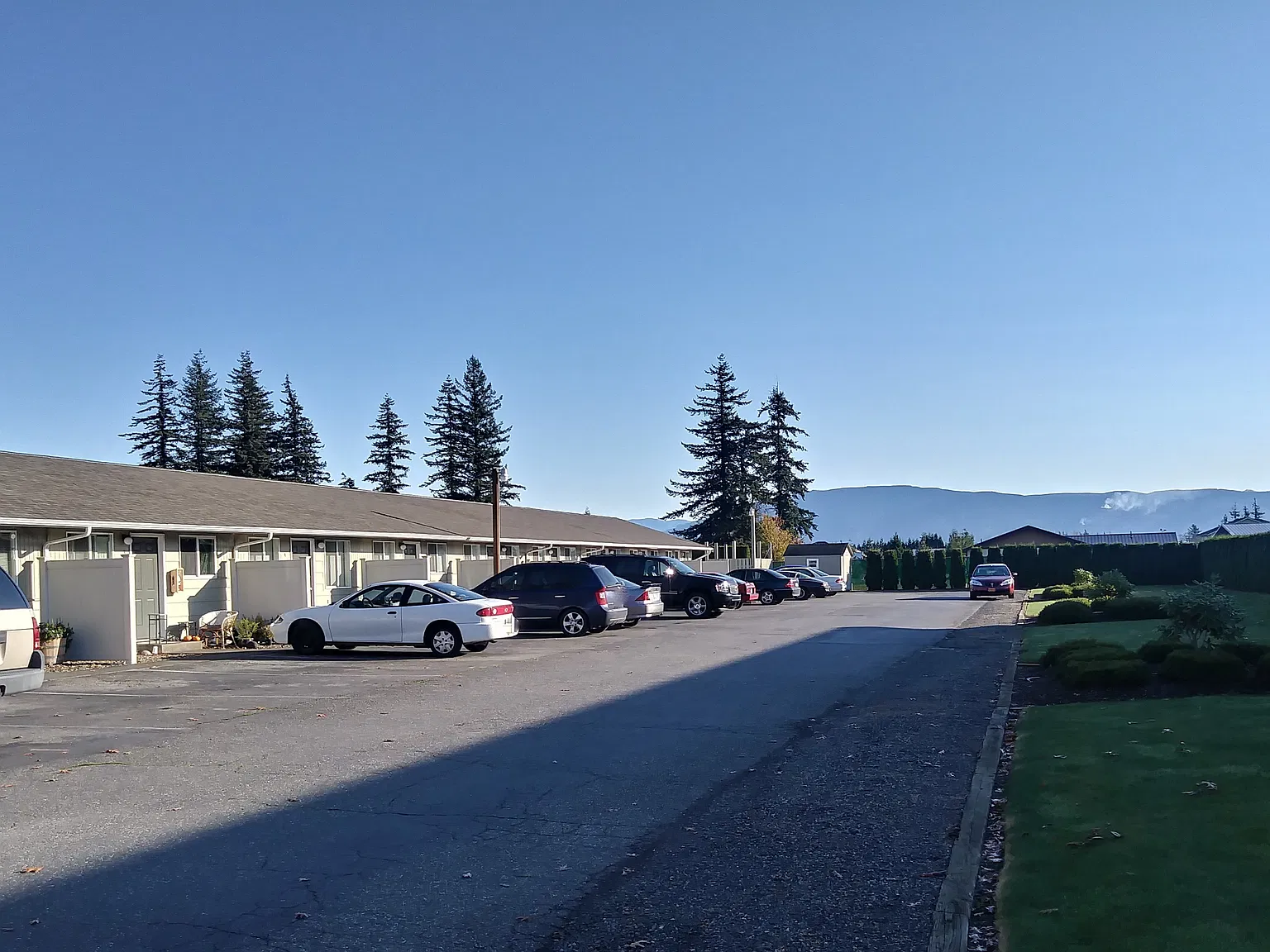 1 bed, $900 — Photo 1