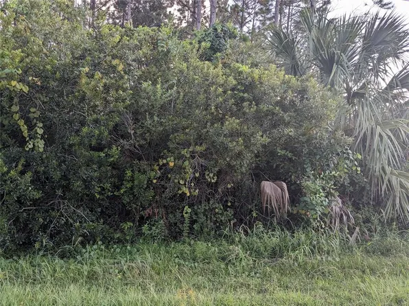 4635 Calvin St, Hastings, FL 32145