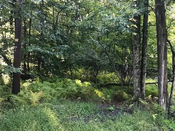 36 Calendula Ct, Pocono Pines, PA 18350