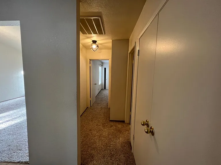 1114 Cedar Creek Dr #3 — Photo 14