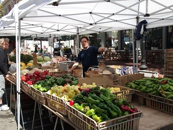 Farmer's Market