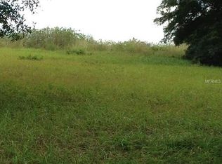 3710 Ridge Run Dr, Minneola, FL 34715