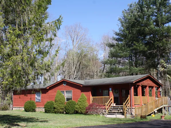 191 Colonial Manor Dr, Jumping Branch, WV 25969