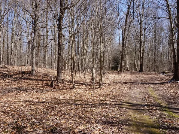 0 Tamblin Ridge Trl Lot 17, Bernhards Bay, NY 13028