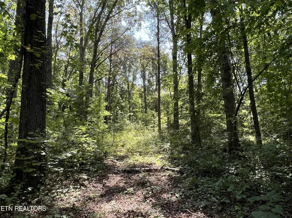 168 Hull Rd, Madisonville, TN 37354