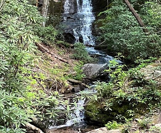 2nd image of Darnell Creek Rd