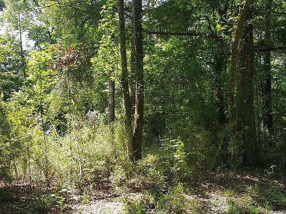 3rd image of 14080 Arrian Dr