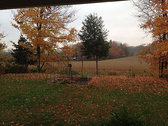 Quiet Back Yard