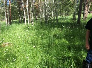 Rochford Ridge Trail, Lead, SD 58770