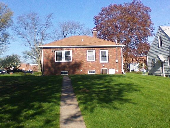 Back view