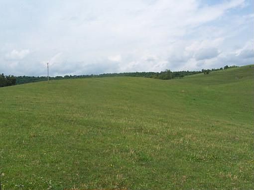 5th image of 1579 Trails End Dr