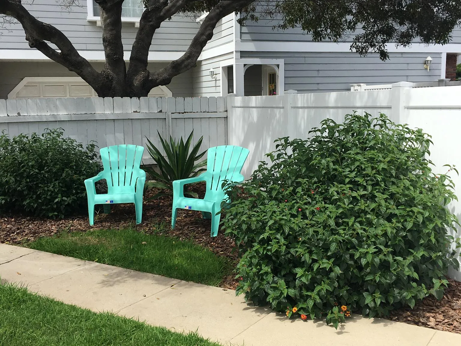 2 bed, 850 sqft, $2,600 — Photo 1