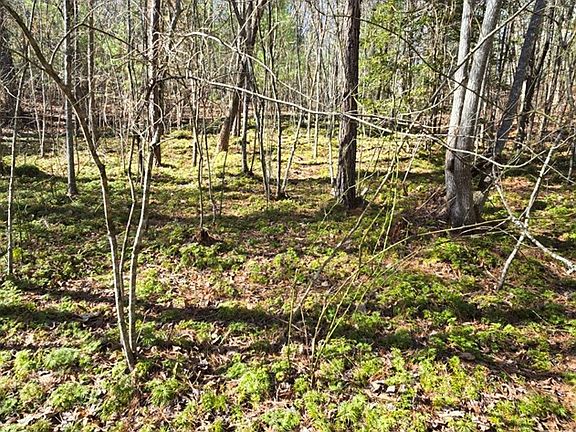 5th image of 12 Oak Loop