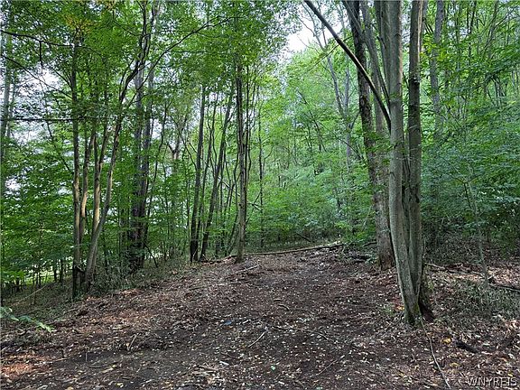 5th image of 3992 Bear Hollow Rd Lot 3