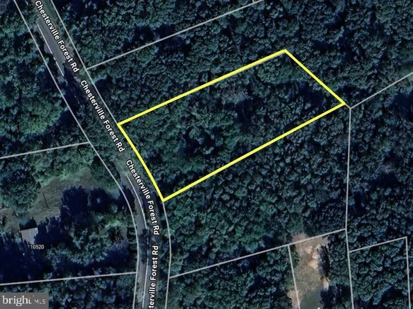 Chesterville Forest Rd Parcel 73, Millington, MD 21651