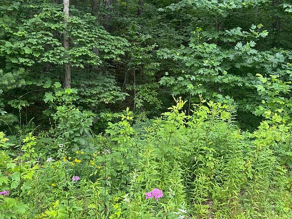 4th image of 78 Lt 78 Pitch Pine Drive LOT 78