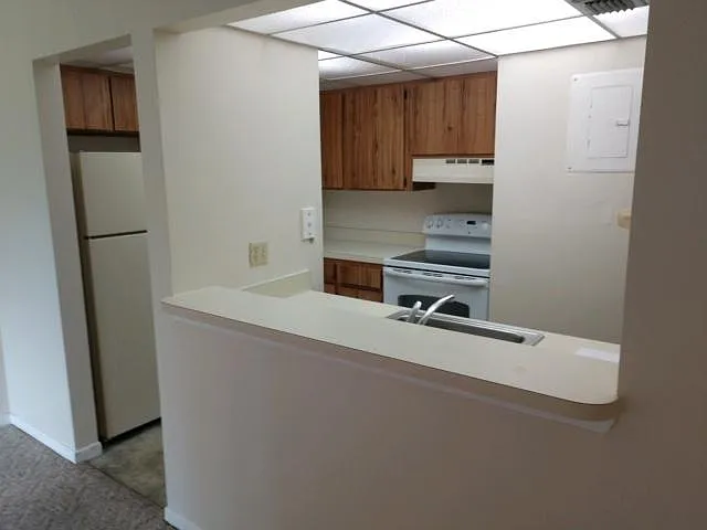 160 Live Oak Woods Ct #6D — Photo 5