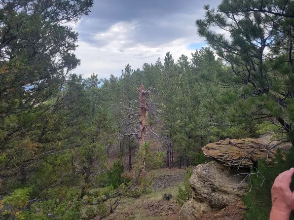 Dmb 84 Fireside Dr, Shawmut, MT 59078