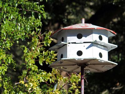 311 McEwen Dr, Niceville, FL, 32578