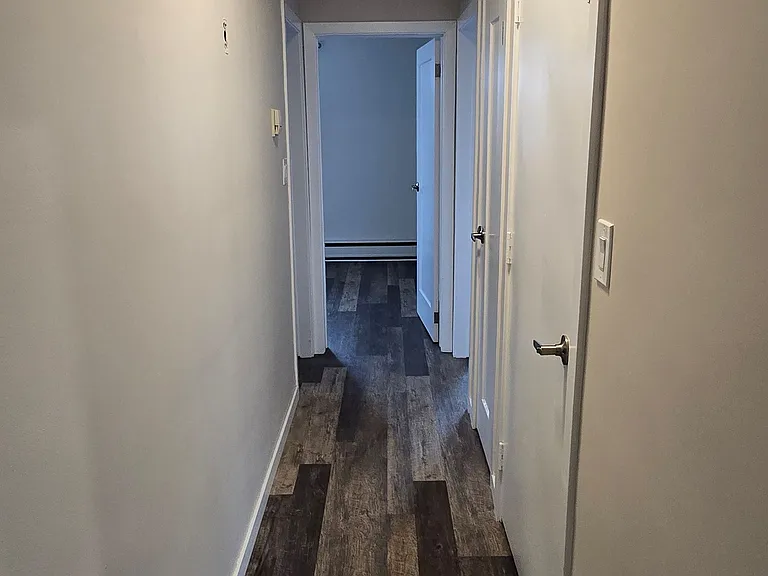 119 Louisa St — Photo 7