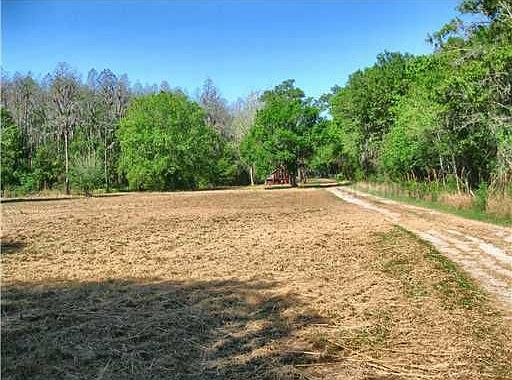 1st image of 7916 Lady Lake Ln