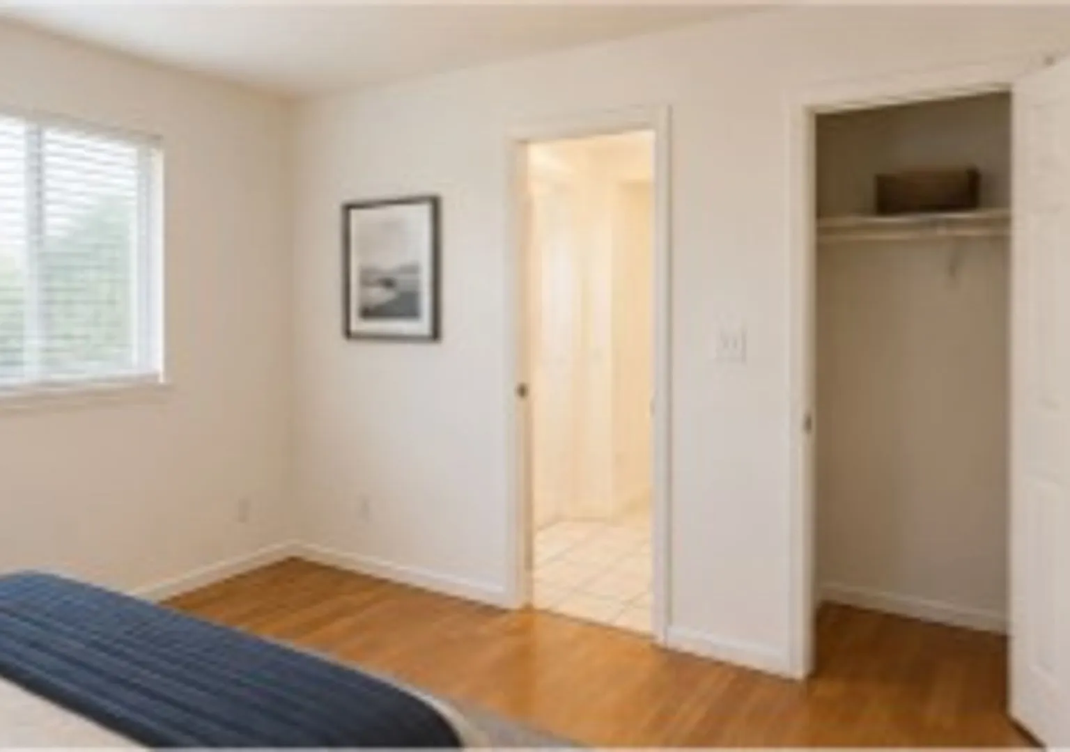 Northstar Apartments — Photo 4