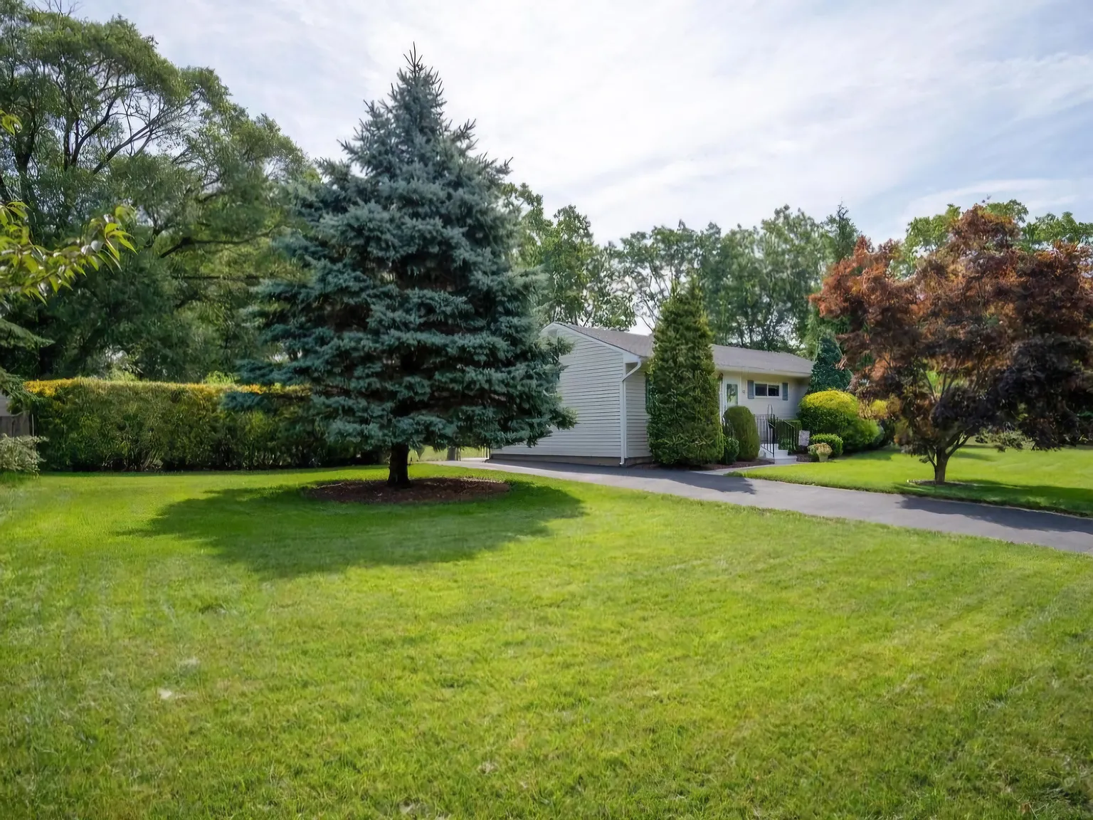 3 bed, 1000 sqft, $2,850 — Photo 4