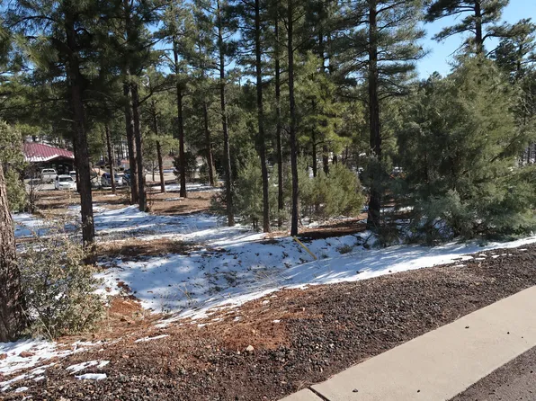 2601 S Marshalls Run, Show Low, AZ 85901