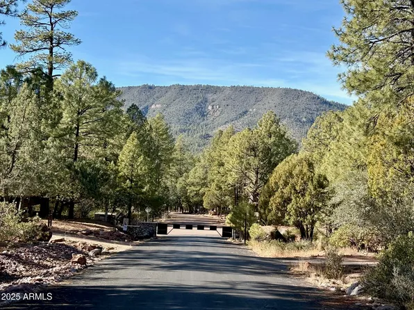 19 N ELK RUB Lane #19, Pine, AZ 85544