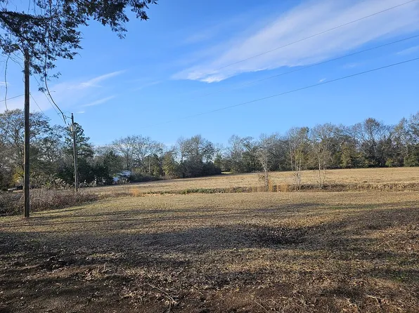81 Gilbertville Rd, Morris, GA 39867
