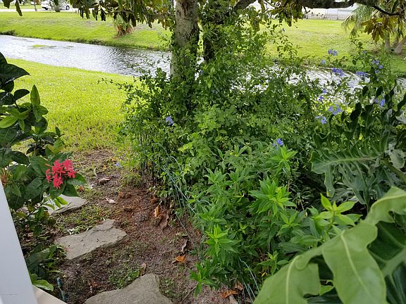 4th image of 1003 Barefoot Cir