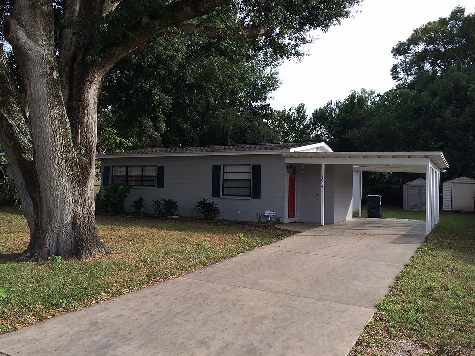 Large oak in front yard