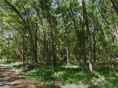 Sequoia Loop Trce Lot 13, Ocklawaha, FL, 32179