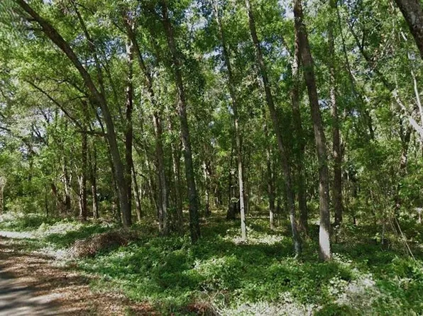 Sequoia Loop Trce Lot 13, Ocklawaha, FL 32179
