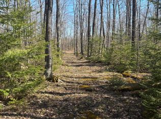 S Walding Rd, Drummond Island, MI 49726