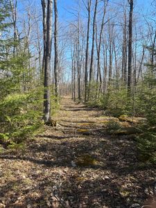 S Walding Rd, Drummond Island, MI, 49726